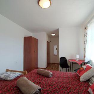 "U Skowronkow" Bed and Breakfast Bukowina Tatrzańska Buitenkant foto